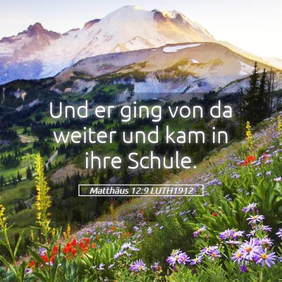 Picture 05 - Matthäus 12:9 LUTH1912 - Und er ging von da weiter und kam in ihre - Bible Verse Picture