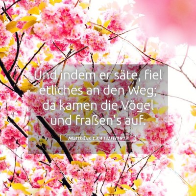 Picture 05 - Matthäus 13:4 LUTH1912 - Und indem er säte, fiel etliches an den Weg; da - Bible Verse Picture