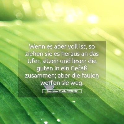Picture 05 - Matthäus 13:48 LUTH1912 - Wenn es aber voll ist, so ziehen sie es heraus an - Bible Verse Picture