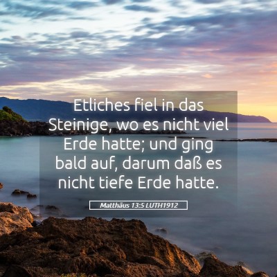 Picture 05 - Matthäus 13:5 LUTH1912 - Etliches fiel in das Steinige, wo es nicht viel - Bible Verse Picture