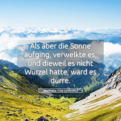 Picture 05 - Matthäus 13:6 LUTH1912 - Als aber die Sonne aufging, verwelkte es, und - Bible Verse Picture