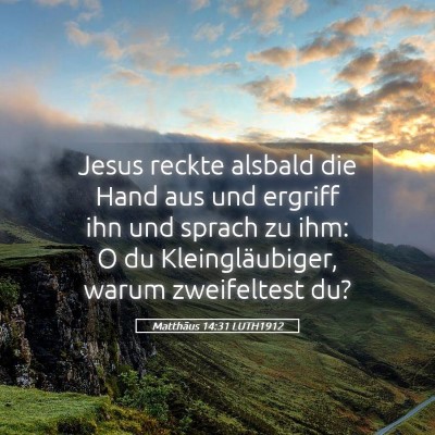 Picture 05 - Matthäus 14:31 LUTH1912 - Jesus reckte alsbald die Hand aus und ergriff ihn - Bible Verse Picture