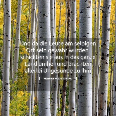 Picture 05 - Matthäus 14:35 LUTH1912 - Und da die Leute am selbigen Ort sein gewahr - Bible Verse Picture