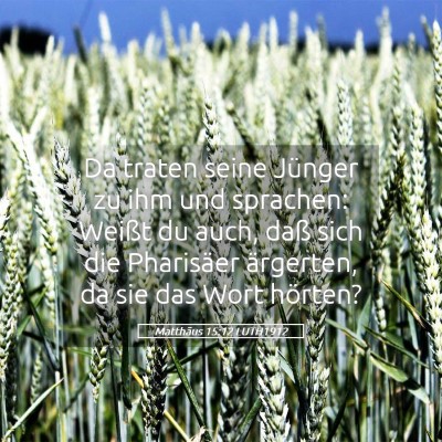 Picture 05 - Matthäus 15:12 LUTH1912 - Da traten seine Jünger zu ihm und sprachen: - Bible Verse Picture