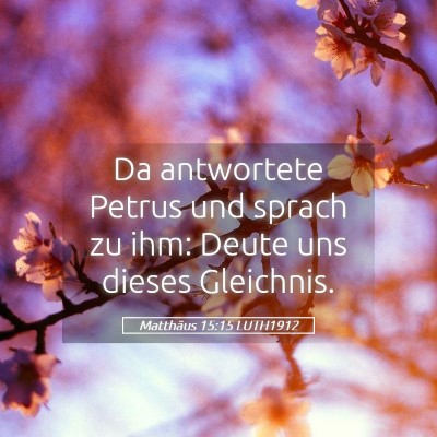 Picture 05 - Matthäus 15:15 LUTH1912 - Da antwortete Petrus und sprach zu ihm: Deute uns - Bible Verse Picture