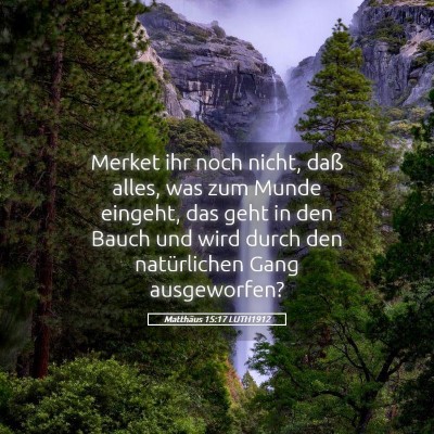 Picture 05 - Matthäus 15:17 LUTH1912 - Merket ihr noch nicht, daß alles, was zum Munde - Bible Verse Picture