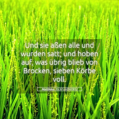 Picture 05 - Matthäus 15:37 LUTH1912 - Und sie aßen alle und wurden satt; und hoben - Bible Verse Picture