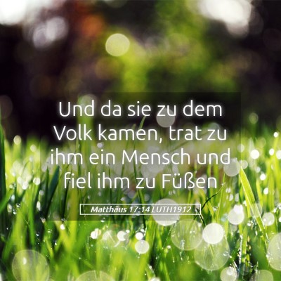 Picture 05 - Matthäus 17:14 LUTH1912 - Und da sie zu dem Volk kamen, trat zu ihm ein - Bible Verse Picture