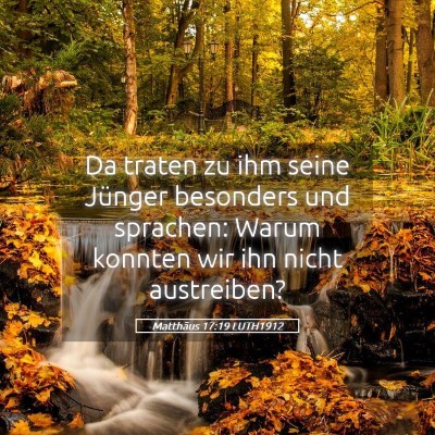 Picture 05 - Matthäus 17:19 LUTH1912 - Da traten zu ihm seine Jünger besonders und - Bible Verse Picture