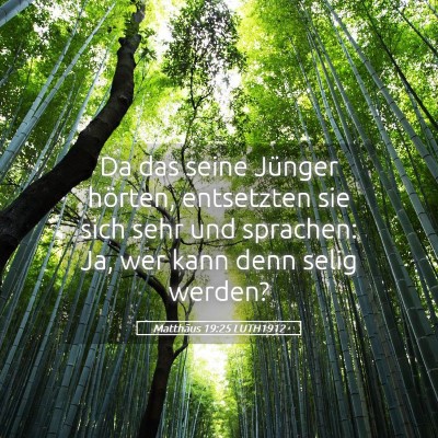 Picture 05 - Matthäus 19:25 LUTH1912 - Da das seine Jünger hörten, entsetzten sie sich - Bible Verse Picture