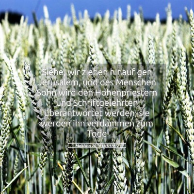 Picture 05 - Matthäus 20:18 LUTH1912 - Siehe, wir ziehen hinauf gen Jerusalem, und des - Bible Verse Picture