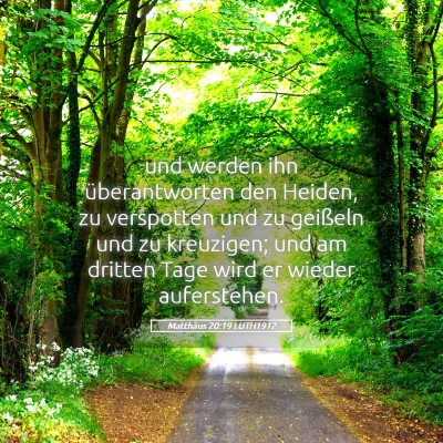 Picture 05 - Matthäus 20:19 LUTH1912 - und werden ihn überantworten den Heiden, zu - Bible Verse Picture