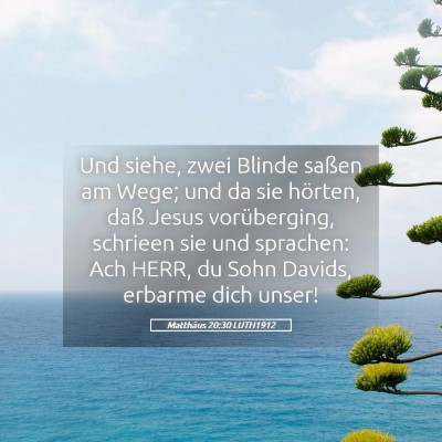 Picture 05 - Matthäus 20:30 LUTH1912 - Und siehe, zwei Blinde saßen am Wege; und da sie - Bible Verse Picture