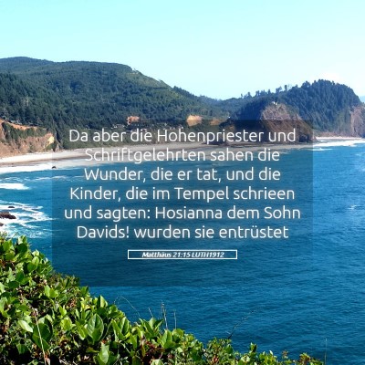Picture 05 - Matthäus 21:15 LUTH1912 - Da aber die Hohenpriester und Schriftgelehrten - Bible Verse Picture
