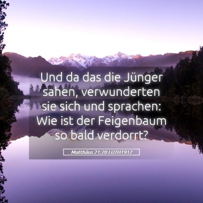 Picture 05 - Matthäus 21:20 LUTH1912 - Und da das die Jünger sahen, verwunderten sie - Bible Verse Picture