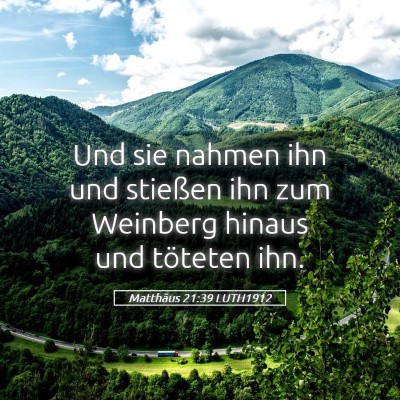 Picture 05 - Matthäus 21:39 LUTH1912 - Und sie nahmen ihn und stießen ihn zum Weinberg - Bible Verse Picture