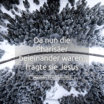 Picture 05 - Matthäus 22:41 LUTH1912 - Da nun die Pharisäer beieinander waren, fragte - Bible Verse Picture