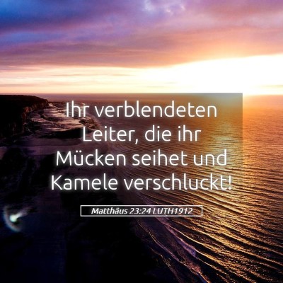 Picture 05 - Matthäus 23:24 LUTH1912 - Ihr verblendeten Leiter, die ihr Mücken seihet - Bible Verse Picture