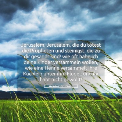 Picture 05 - Matthäus 23:37 LUTH1912 - Jerusalem, Jerusalem, die du tötest die - Bible Verse Picture