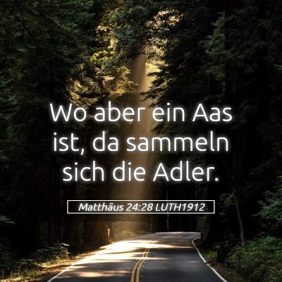 Picture 05 - Matthäus 24:28 LUTH1912 - Wo aber ein Aas ist, da sammeln sich die - Bible Verse Picture