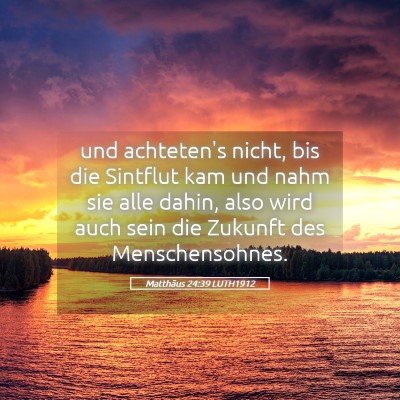 Picture 05 - Matthäus 24:39 LUTH1912 - und achteten's nicht, bis die Sintflut kam und - Bible Verse Picture