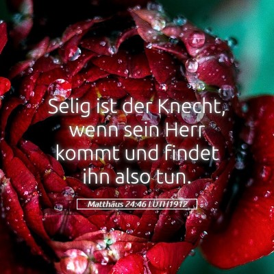 Picture 05 - Matthäus 24:46 LUTH1912 - Selig ist der Knecht, wenn sein Herr kommt und - Bible Verse Picture