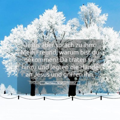 Picture 05 - Matthäus 26:50 LUTH1912 - Jesus aber sprach zu ihm: Mein Freund, warum bist - Bible Verse Picture
