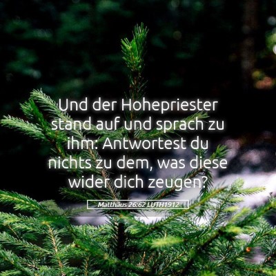 Picture 05 - Matthäus 26:62 LUTH1912 - Und der Hohepriester stand auf und sprach zu ihm: - Bible Verse Picture