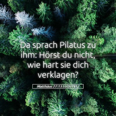 Picture 05 - Matthäus 27:13 LUTH1912 - Da sprach Pilatus zu ihm: Hörst du nicht, wie - Bible Verse Picture