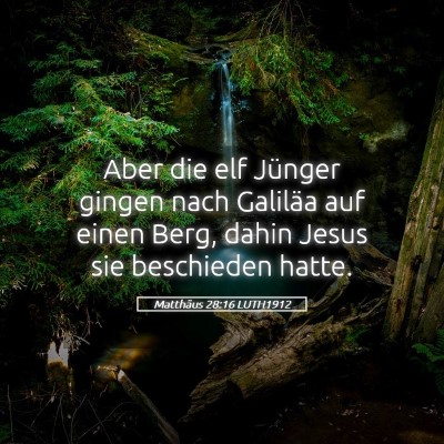 Picture 05 - Matthäus 28:16 LUTH1912 - Aber die elf Jünger gingen nach Galiläa auf - Bible Verse Picture