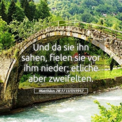 Picture 05 - Matthäus 28:17 LUTH1912 - Und da sie ihn sahen, fielen sie vor ihm nieder; - Bible Verse Picture
