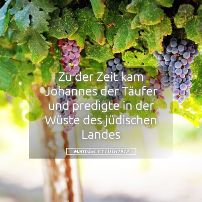 Picture 05 - Matthäus 3:1 LUTH1912 - Zu der Zeit kam Johannes der Täufer und predigte - Bible Verse Picture