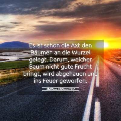 Picture 05 - Matthäus 3:10 LUTH1912 - Es ist schon die Axt den Bäumen an die Wurzel - Bible Verse Picture