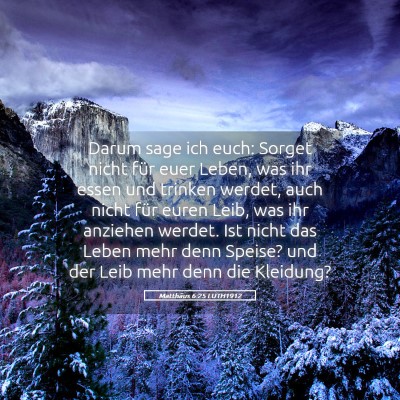 Picture 05 - Matthäus 6:25 LUTH1912 - Darum sage ich euch: Sorget nicht für euer - Bible Verse Picture