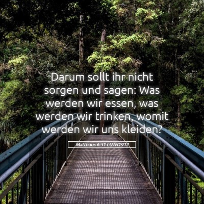 Picture 05 - Matthäus 6:31 LUTH1912 - Darum sollt ihr nicht sorgen und sagen: Was - Bible Verse Picture