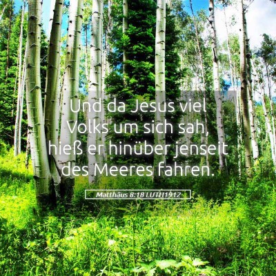 Picture 05 - Matthäus 8:18 LUTH1912 - Und da Jesus viel Volks um sich sah, hieß er - Bible Verse Picture