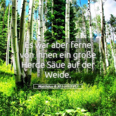 Picture 05 - Matthäus 8:30 LUTH1912 - Es war aber ferne von ihnen ein große Herde - Bible Verse Picture