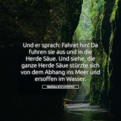 Picture 05 - Matthäus 8:32 LUTH1912 - Und er sprach: Fahret hin! Da fuhren sie aus und - Bible Verse Picture
