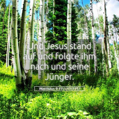 Picture 05 - Matthäus 9:19 LUTH1912 - Und Jesus stand auf und folgte ihm nach und seine - Bible Verse Picture