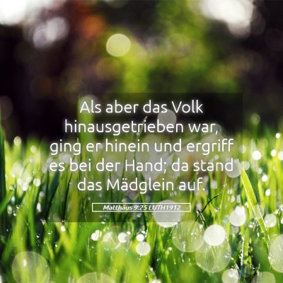 Picture 05 - Matthäus 9:25 LUTH1912 - Als aber das Volk hinausgetrieben war, ging er - Bible Verse Picture