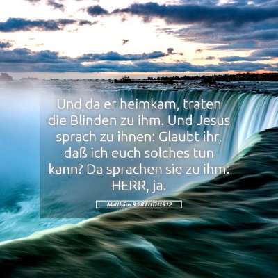 Picture 05 - Matthäus 9:28 LUTH1912 - Und da er heimkam, traten die Blinden zu ihm. Und - Bible Verse Picture