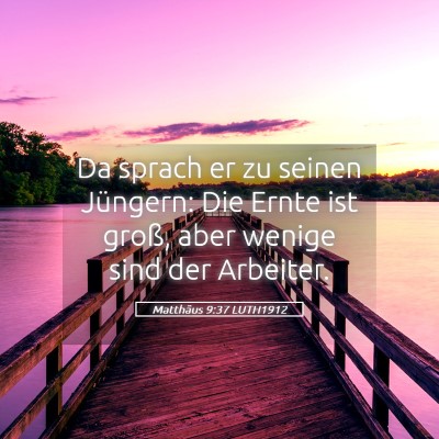 Picture 05 - Matthäus 9:37 LUTH1912 - Da sprach er zu seinen Jüngern: Die Ernte ist - Bible Verse Picture