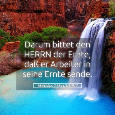 Picture 05 - Matthäus 9:38 LUTH1912 - Darum bittet den HERRN der Ernte, daß er - Bible Verse Picture