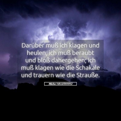 Picture 05 - Micha 1:8 LUTH1912 - Darüber muß ich klagen und heulen, ich muß - Bible Verse Picture