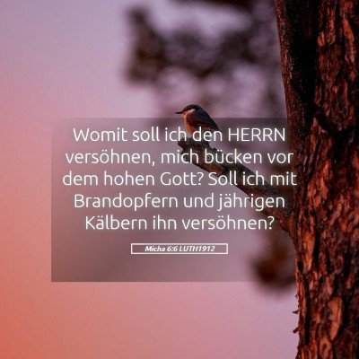 Picture 05 - Micha 6:6 LUTH1912 - Womit soll ich den HERRN versöhnen, mich bücken - Bible Verse Picture
