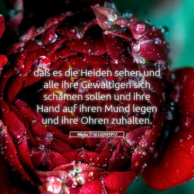 Picture 05 - Micha 7:16 LUTH1912 - daß es die Heiden sehen und alle ihre Gewaltigen - Bible Verse Picture