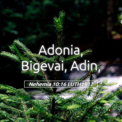 Picture 05 - Nehemia 10:16 LUTH1912 - Adonia, Bigevai, - Bible Verse Picture