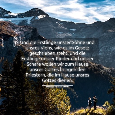 Picture 05 - Nehemia 10:36 LUTH1912 - und die Erstlinge unsrer Söhne und unsres Viehs, - Bible Verse Picture