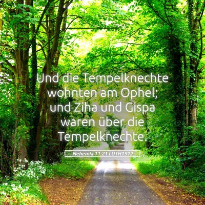 Picture 05 - Nehemia 11:21 LUTH1912 - Und die Tempelknechte wohnten am Ophel; und Ziha - Bible Verse Picture