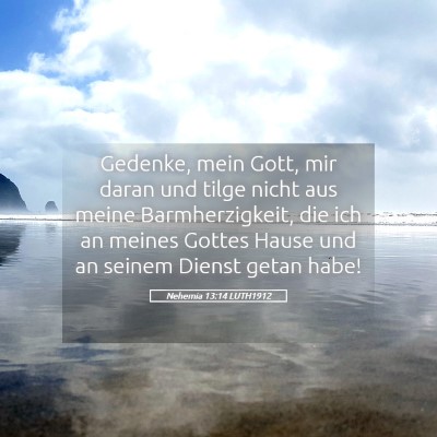 Picture 05 - Nehemia 13:14 LUTH1912 - Gedenke, mein Gott, mir daran und tilge nicht aus - Bible Verse Picture